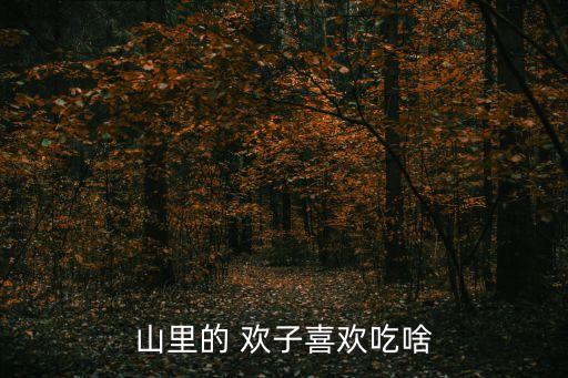 歡子動物,獾子是幾級保護(hù)動物