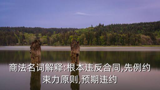 合同法期末選擇題,有關(guān)合同法的選擇題