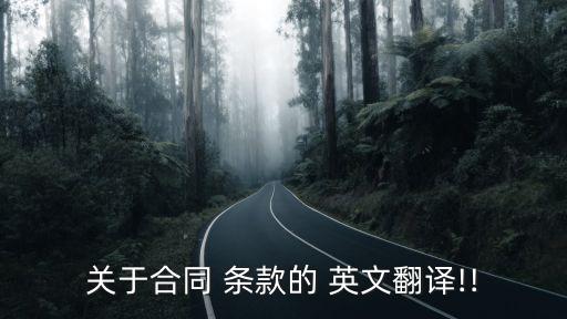 條款英文怎么說,問題用英文怎么說