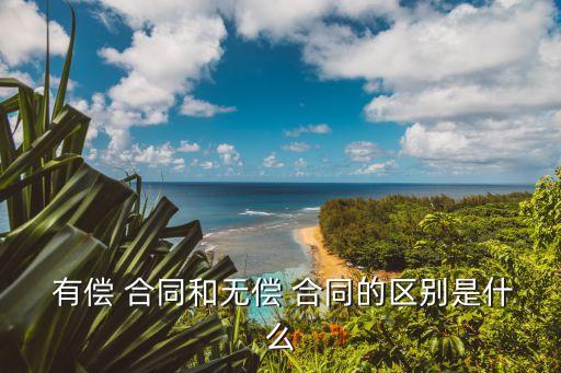有償法律服務(wù)合同包括哪些