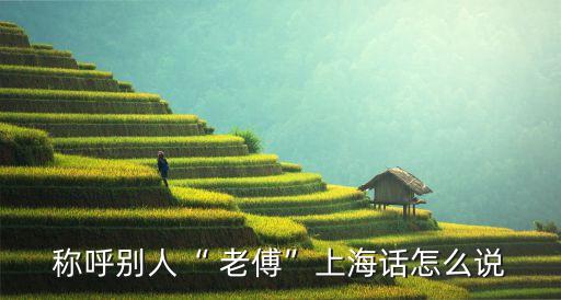 老傅