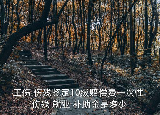 傷殘就業(yè)補(bǔ)助金
