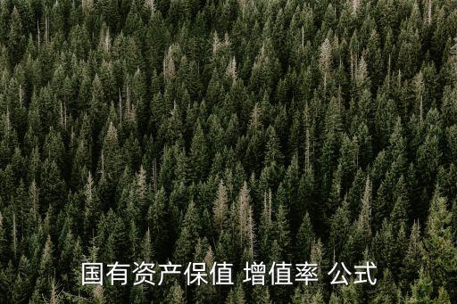 增值率計(jì)算公式,國有資產(chǎn)保值增值率計(jì)算公式