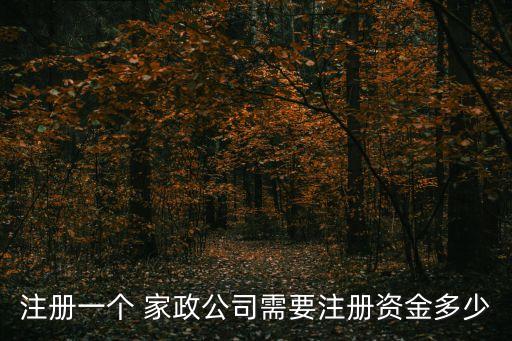 注冊(cè)一個(gè) 家政公司需要注冊(cè)資金多少