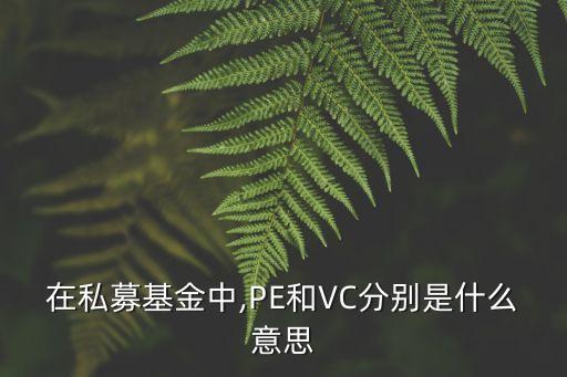 vc和pe的區(qū)別,紅杉資本是pe還是vc