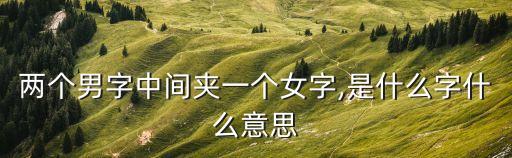 兩個男字中間夾一個女字,是什么字什么意思
