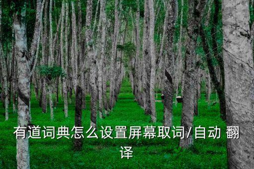 英譯中實時翻譯,百度翻譯掃一掃