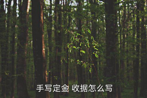 收據(jù)格式手寫樣本,收條范本 正規(guī)