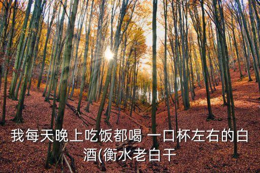 我每天晚上吃飯都喝 一口杯左右的白酒(衡水老白干