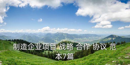 制造企業(yè)項(xiàng)目 戰(zhàn)略 合作 協(xié)議 范本7篇