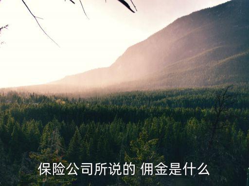 保險公司所說的 傭金是什么