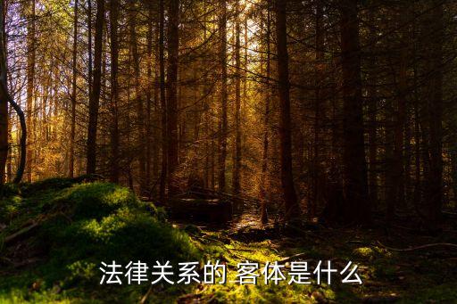 法律關(guān)系的客體有哪四種,民事法律關(guān)系的客體怎么判斷