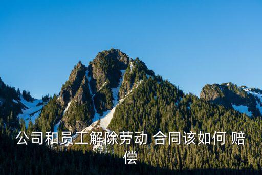 公司和員工解除勞動 合同該如何 賠償