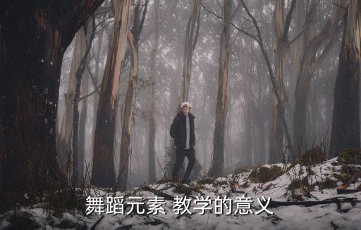 舞蹈元素 教學(xué)的意義