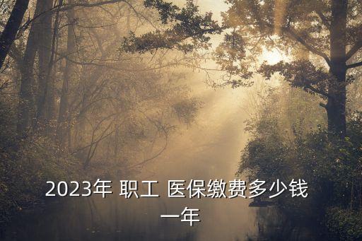 職工醫(yī)保一年交多少錢(qián),靈活就業(yè)職工醫(yī)保一年交多少錢(qián)