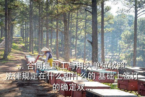 ... 合同是職工與用人單位依照 法律規(guī)定在什么和什么的 基礎(chǔ)上簽訂的確定雙...
