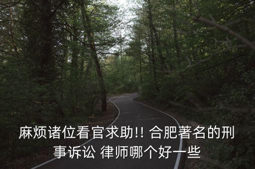 麻煩諸位看官求助!! 合肥著名的刑事訴訟 律師哪個好一些