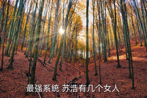 最強(qiáng)系統(tǒng) 蘇浩有幾個(gè)女人