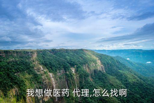 代理藥品,找品種代理藥品