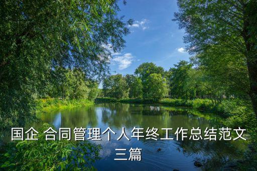 國企 合同管理個人年終工作總結(jié)范文三篇