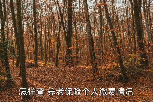 查詢個人養(yǎng)老保險,手機上如何查詢個人養(yǎng)老保險