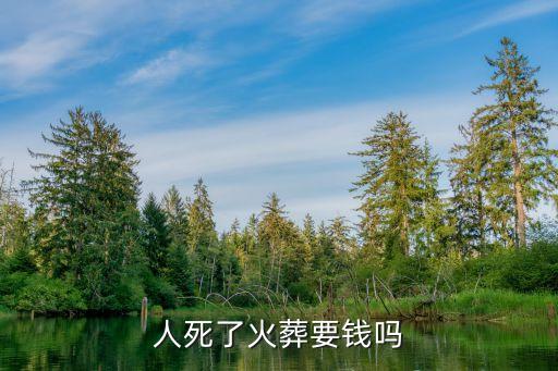 火化多少錢,狗狗死后火化多少錢
