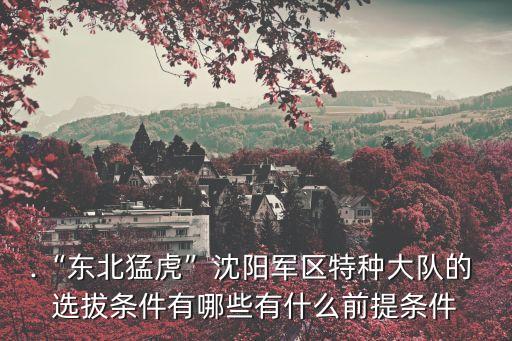 武警特戰(zhàn)選拔要求,進入武警特戰(zhàn)的條件