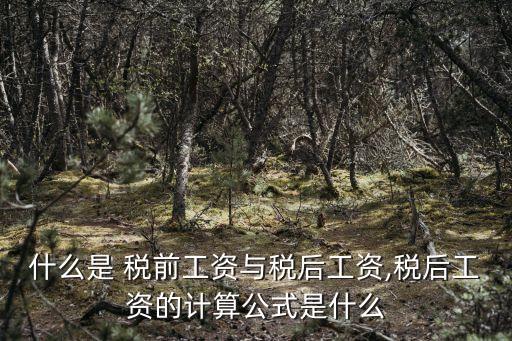什么是 稅前工資與稅后工資,稅后工資的計算公式是什么