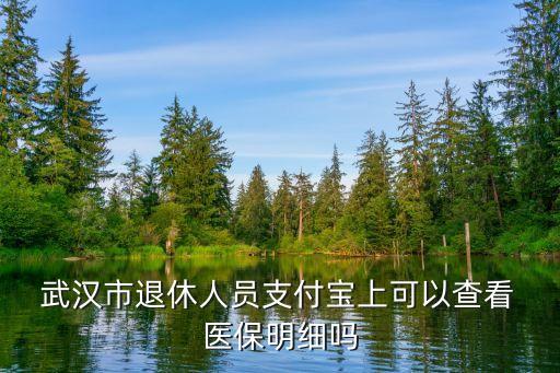  武漢市退休人員支付寶上可以查看 醫(yī)保明細(xì)嗎