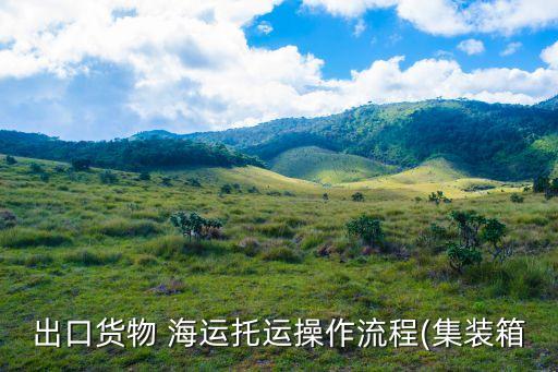 出口貨物 海運(yùn)托運(yùn)操作流程(集裝箱