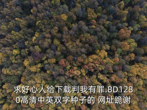 求好心人給下載判我有罪.BD1280高清中英雙字種子的 網(wǎng)址跪謝
