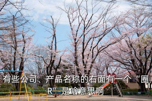 圈r,圈絨地毯的優(yōu)缺點(diǎn)