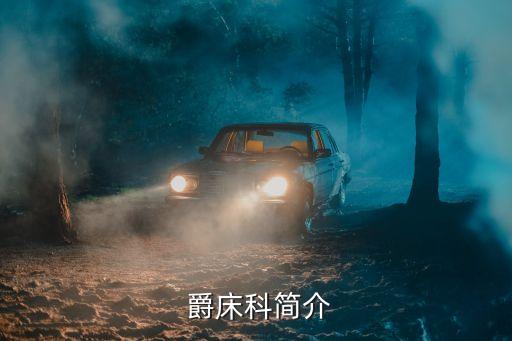 銀脈爵床