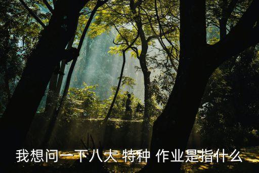 我想問一下八大 特種 作業(yè)是指什么