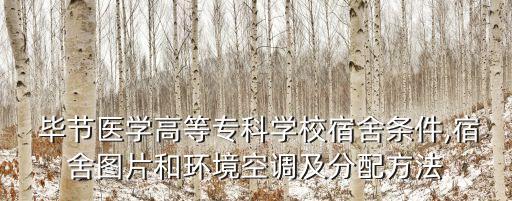 畢節(jié)市人力資源和社會保障局,貴州省畢節(jié)市人力資源和社會保障局