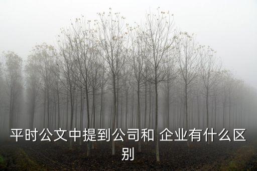 企業(yè)的概念,個(gè)人獨(dú)資企業(yè)的概念