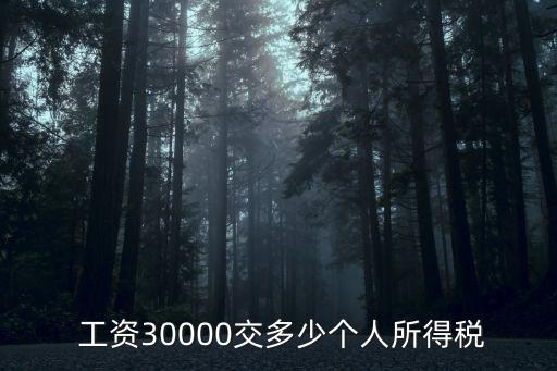 3萬(wàn)工資扣多少稅,稅率計(jì)算器