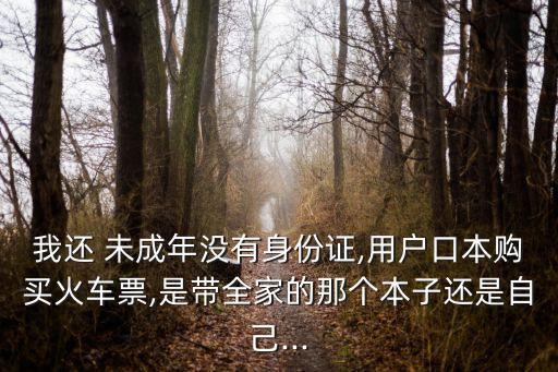 我還 未成年沒有身份證,用戶口本購(gòu)買火車票,是帶全家的那個(gè)本子還是自己...