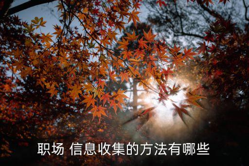 職業(yè)信息