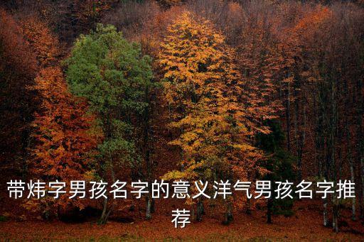帶煒字男孩名字的意義洋氣男孩名字推薦