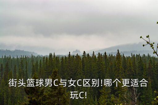 街頭籃球男C與女C區(qū)別!哪個(gè)更適合玩C!