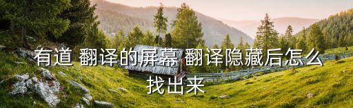  有道 翻譯的屏幕 翻譯隱藏后怎么找出來