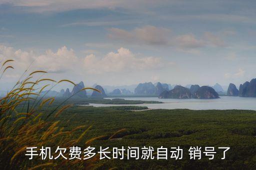 聯(lián)通停機(jī)多久銷號,聯(lián)通的黑戶會一輩子保留嗎