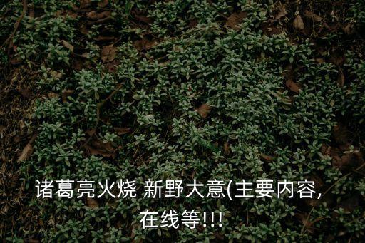 新野在線