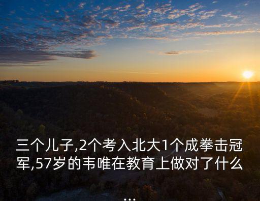 韋偉