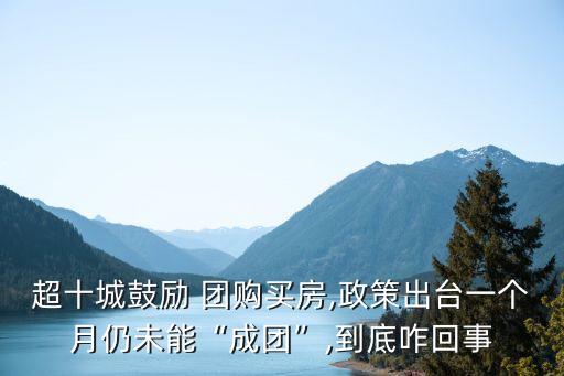 房子團購