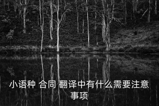 小語種 合同 翻譯中有什么需要注意事項(xiàng)