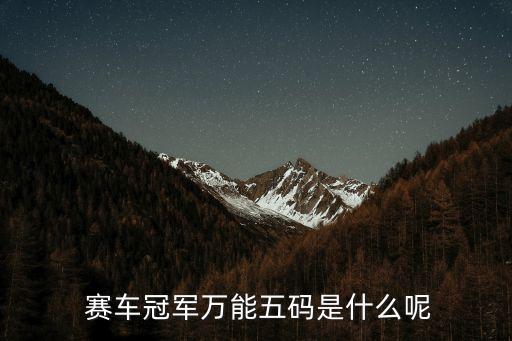  賽車冠軍萬能五碼是什么呢