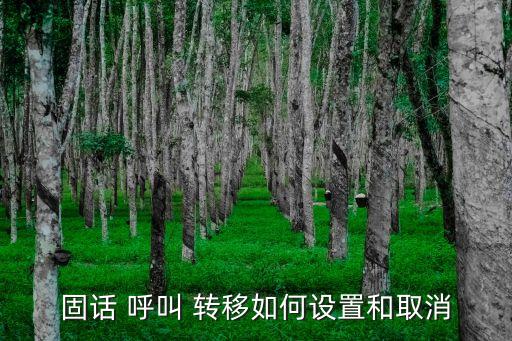電信座機(jī)呼叫轉(zhuǎn)移