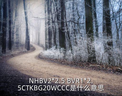 陰燃是什么意思,可能發(fā)生陰燃的是什么